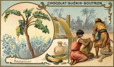 Tkanina wykonana z włókna skórek bananowca. Chromolitografia, opakowania czekoladek Guérin Boutron. autorstwa Unknown artist