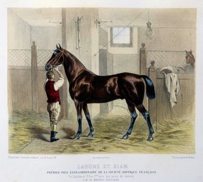 Słynne konie wyścigowe w „Centaurze” 1866 autorstwa Unknown artist