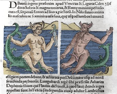 Fantastyczne stworzenia: Traszka i syrena widziana w Nilu. Rycina z „Le livre des prodiges” (Kronika synów marnotrawnych i zapowiedzi Basileae) Wolfharta (Konrada Lycosthene) 1557 autorstwa Unknown artist
