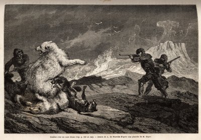Walcz z niedźwiedziem polarnym chroniącym jej dziecko, sfora psów atakuje ją i myśliwych, broń karabinowa, czekaj na odpowiedni moment, by ją zastrzelić. Grawerowanie ilustrujące podróż na wolne morze bieguna arktycznego autorstwa doktora Hayesa, chirurga  autorstwa Unknown artist