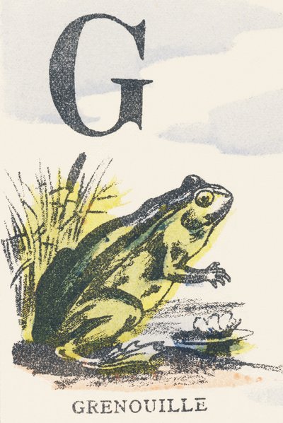 G: żaba autorstwa Unknown artist