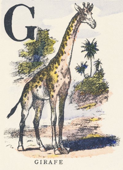 G: żyrafa autorstwa Unknown artist