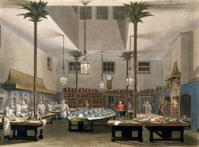 Grand Hotel: kuchnie hotelu Great Pavillon w Brighton. 1850 autorstwa Unknown artist