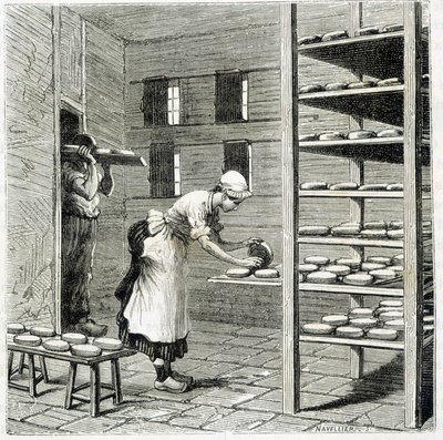 Haloir (lub suszarka) do produkcji sera camembert – w „Cuda przemysłu” Louisa Figuiera autorstwa Unknown artist