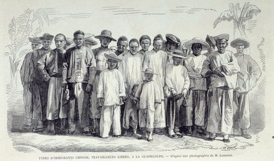 Historia kolonii francuskich: Chińscy imigranci pracujący na Gwadelupie. Rysunek po fotografii z końca XIX wieku Chartres musee des Beaux Arts autorstwa Unknown artist