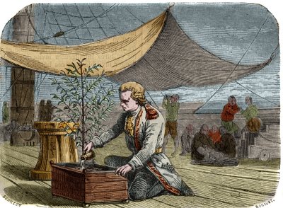 Historia kawiarni: Kapitan Gabriel de Clieu (Declieux, Desclieux) (1687/1678- ok. 1774), na zlecenie króla Ludwika XIV w 1725 sprowadził na Martynikę kawiarnię (ekspres), dzieli się z nim swoją porcją wody by uchronić go przed wysuszeniem. Engr autorstwa Unknown artist