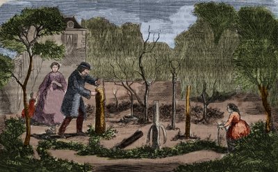 Ogrodnictwo: główne metody przesadzania roślin. Grawerowanie z 1860 roku. autorstwa Unknown artist