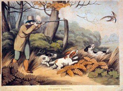 Polowanie na bażanty w Anglii. Grawerowanie z XIX wieku. Gien, muzeum polowań autorstwa Unknown artist