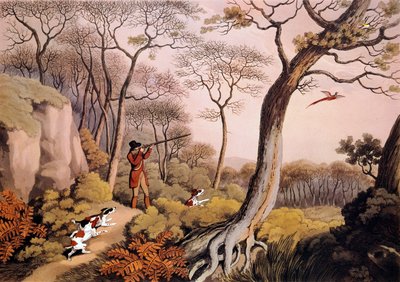 Polowanie na bażanty w Anglii. Grawerowanie z XIX wieku. Gien, muzeum polowań autorstwa Unknown artist
