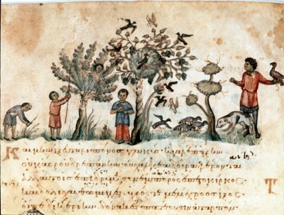 Scena polowania z jastrzębiami i zbiorem owoców Miniatura zaczerpnięta z polowania na dojenie „Cynegetics” Oppiana (Oppian lub Oppianus) z Syrii (III wne) poświęcona Karakalli. Wenecja z XI wieku. Biblioteca Marciana autorstwa Unknown artist