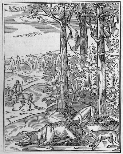 Polowanie na wilka: obserwacja. Faksymile (Facsimile) XVI-wiecznego drzeworytu. Rycina w „Przyroda: przegląd nauk i ich zastosowania w sztuce i przemyśle” z 9 kwietnia 1892 r. autorstwa Unknown artist