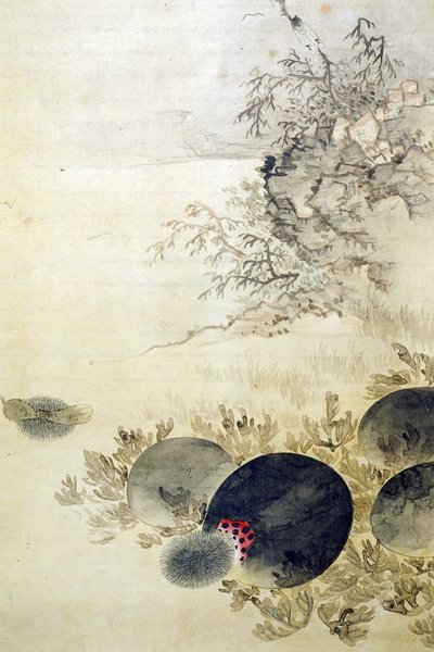 Hwajodo autorstwa Unknown artist