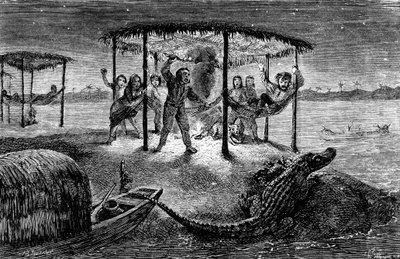Ilustracja "The Naturalist on the River Amazon" autorstwa Henry