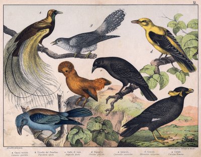  autorstwa Unknown Artist