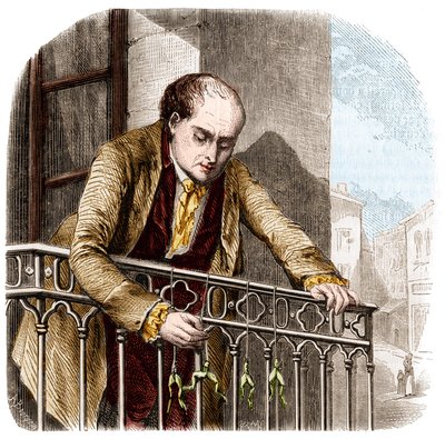 Ilustracja eksperymentów Luigiego Galvani, włoskiego fizyka i lekarza (1737 - 1798) z żabami. autorstwa Unknown artist