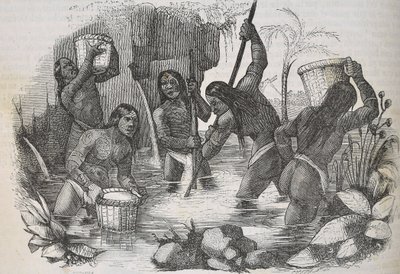 Indianie z wyspy Hispaniola płukają po złoto autorstwa Unknown artist