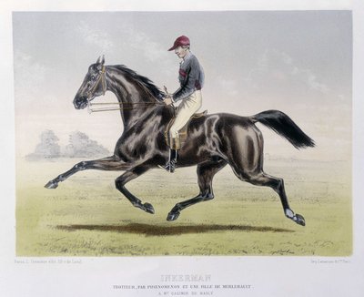 Inkerman - w „Centaurze”” autorstwa Unknown artist