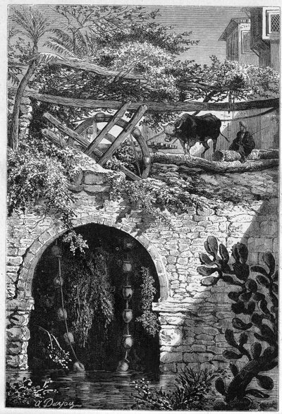 Nawadnianie w Egipcie: wół obraca koło, wokół którego owinięte są wiadra. Grawer w „” Le Monde Illustré”” nr 1313 z 27 maja 1882 r. autorstwa Unknown artist