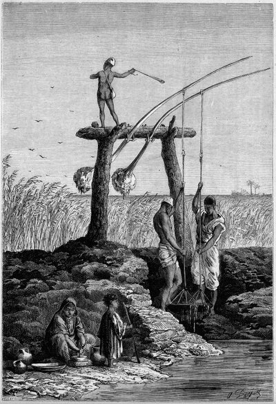 Nawadnianie w Egipcie: chadoufs (lub shadoufs) na brzegach Nilu. Grawer w „” Le Monde Illustré”” nr 1313 z 27 maja 1882 r. autorstwa Unknown artist