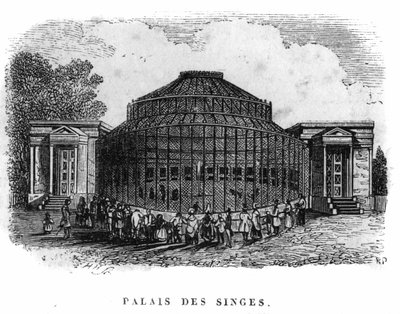 Jardin des Plantes w Paryżu w 1861 roku: pałac małp. autorstwa Unknown artist