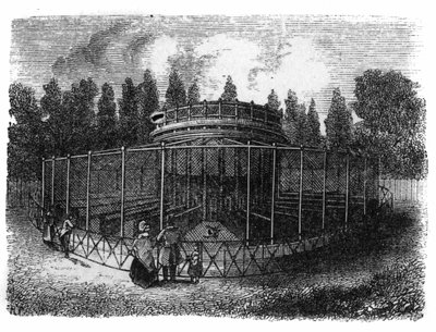 Jardin des Plantes w Paryżu w 1861 r.: bażanderie. autorstwa Unknown artist