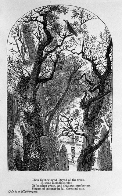 John Keats: Oda do słowika autorstwa Unknown artist