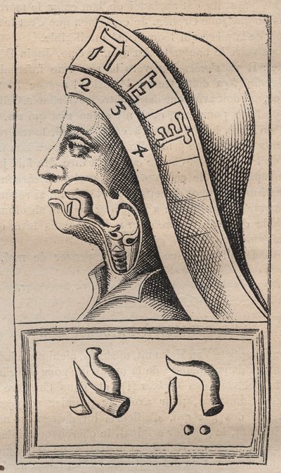 Kabbalah - Kabbalale - Ilustracja z: "Alfabet alfabetu hebrajskiego" (Alfabet Natury) Francisa Mercury van Helmonta (1618-1699) (Francois Mercure Van Helmont) - W tej pracy van Helmont twierdził, że każdy list autorstwa Unknown artist