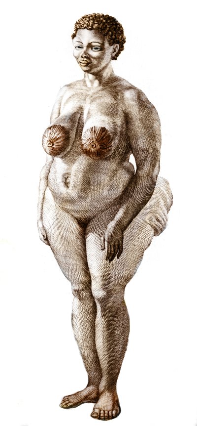 La Venus Hottentote, kobieta rasy Bochiman (The Hottentot Venus), grawerowanie z 1815 roku. autorstwa Unknown artist
