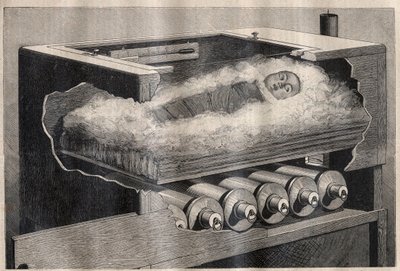 Sztuczne macierzyństwo: inkubator dzieci - Grawerowanie w „La Science francaise” autorstwa Unknown artist