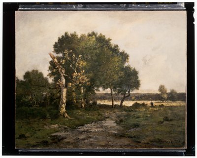 Krajobraz, ok. XIX w. (olej na płótnie) autorstwa Unknown artist