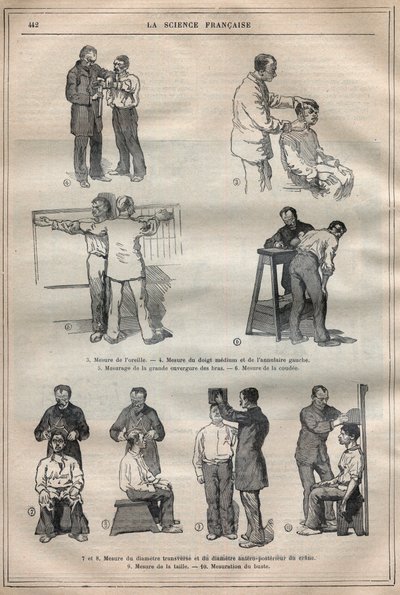 Antropometria sądowa lub bertillonnage, metoda Alphonse Bertillon (1853-1914) - Grawerowanie w „”La Science francaise”” autorstwa Unknown artist