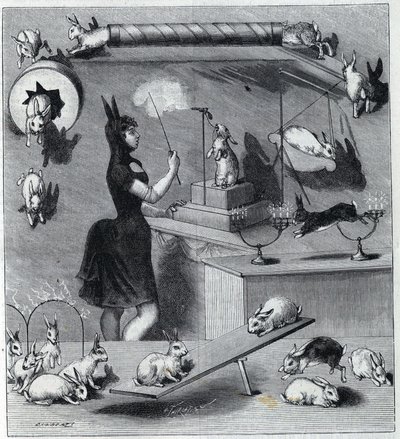 Les rabbits ubiera du Nouveau Cirque w Paryżu: manipulator w kostiumie królika uczy zwierzę różnych liczb. Grawer w „La Nature” 1890. Ze zbiorów prywatnych. autorstwa Unknown artist