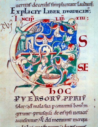 Lettryna C; winorośl na początku XII wieku. Miniatura średniowiecza. Rękopis „Moralia w Hiobie”” z opactwa Citeaux dla Gregoire Pope I autorstwa Unknown artist