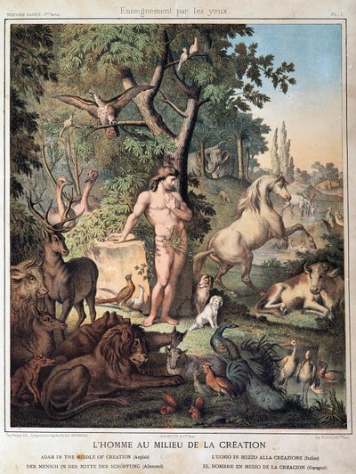 Człowiek pośród stworzenia - w „Historii świętej”, wyd. Topór autorstwa Unknown artist