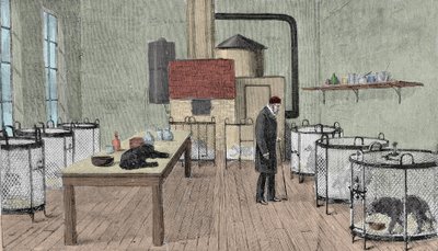 Louis Pasteur (1822-1895), francuski chemik i fizyk w swoim laboratorium w Paryżu. autorstwa Unknown artist