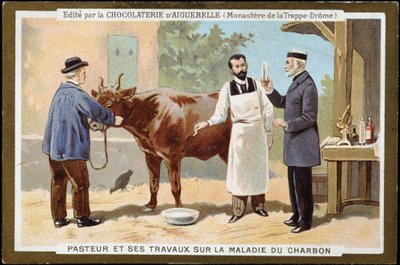 Louis Pasteur i jego praca na temat choroby węgla drzewnego - etykieta reklamowa Chocolats d