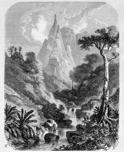 Mauritius: Peter-Booth - w „”Le Tour du Monde””, 2. tydzień 1861 autorstwa Unknown artist