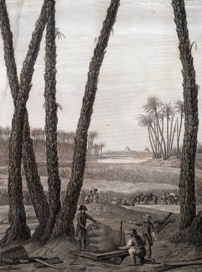 Memphis, widok ruin (naukowcy i pracujący artyści) - w „Opisie Egiptu”, wydaniach cesarskich autorstwa Unknown artist