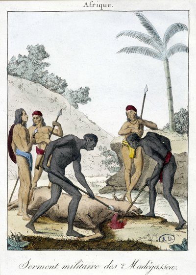 Przysięga wojskowa mieszkańców Madagaskaru (zabili wołu) - grv. 1811 autorstwa Unknown artist