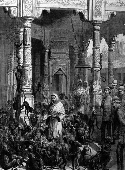 Świątynia małp Świątynia małp w Varanasi (dawniej Benares) w 1877 roku. autorstwa Unknown artist