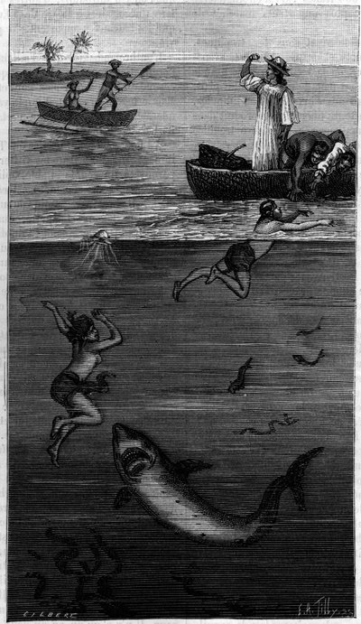 Matka pereł na Tahiti: matka pereł zaatakowana przez rekina. (Zgodnie z dokumentami przekazanymi przez autora). Grawerowanie w „”La Nature: revue des sciences et de leurs applications aux arts et a l