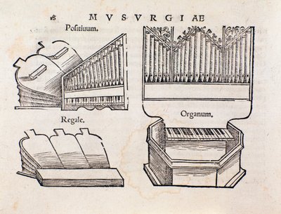 Reprezentacja organów. Strona zaczerpnięta z praktycznego podręcznika muzycznego Musurgii autorstwa Unknown artist