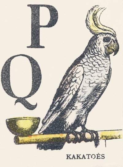 P Q: kokosy autorstwa Unknown artist