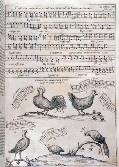 Strona z Musurgii (1650) autorstwa Unknown artist