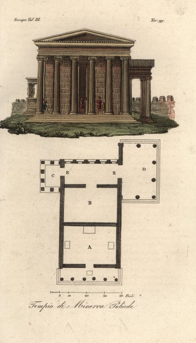 Plan i elewacja Erechtejon lub Erechtejon A, Świątynia Neptuna B, Świątynia Minerwy Polias z gankiem Kariatyd C oraz Świątynia Pandrosusa lub Pandrosion D autorstwa Unknown artist