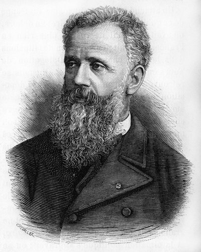 Portret Anatola de la Forge. 1820-1892. Prefekt Obrony Narodowej autorstwa Unknown artist