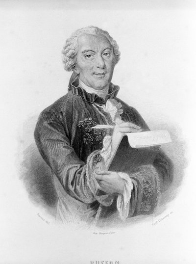 Portret Buffona (1707 - 1788), francuskiego przyrodnika i pisarza. autorstwa Unknown artist