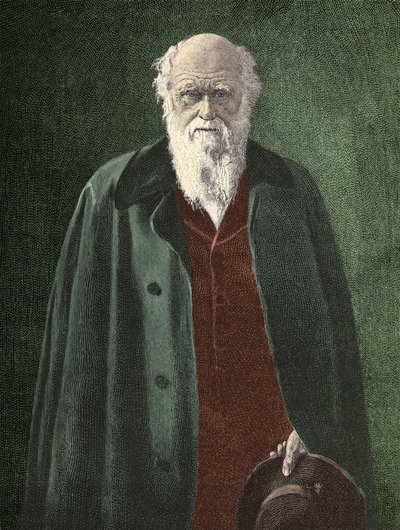 Portret Karola Darwina (1809 - 1882) autorstwa Unknown artist