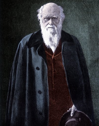 Portret Karola Darwina, brytyjskiego przyrodnika (1809 - 1882) autorstwa Unknown artist