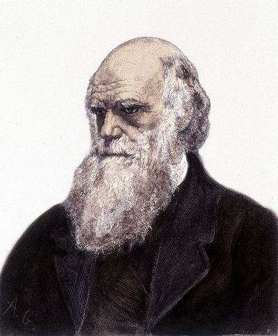 Portret Charlesa Roberta Darwina, brytyjskiego przyrodnika (1809-1882) autorstwa Unknown artist